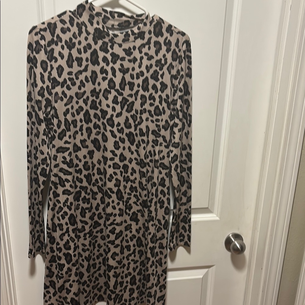 Animal Print Skater Dress